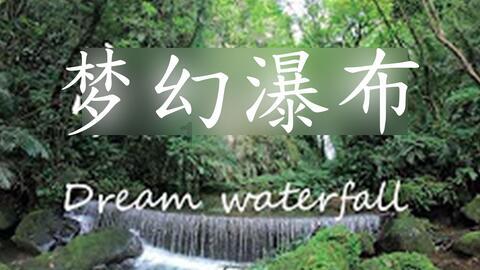 蜜蜂救援