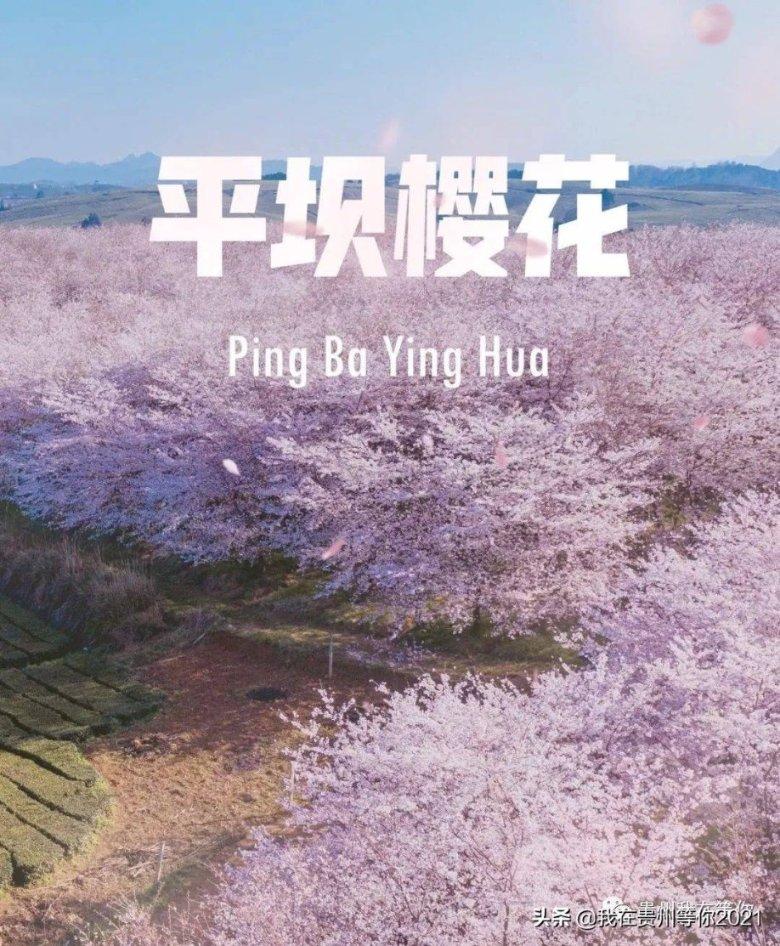 亚当寻找夏娃7