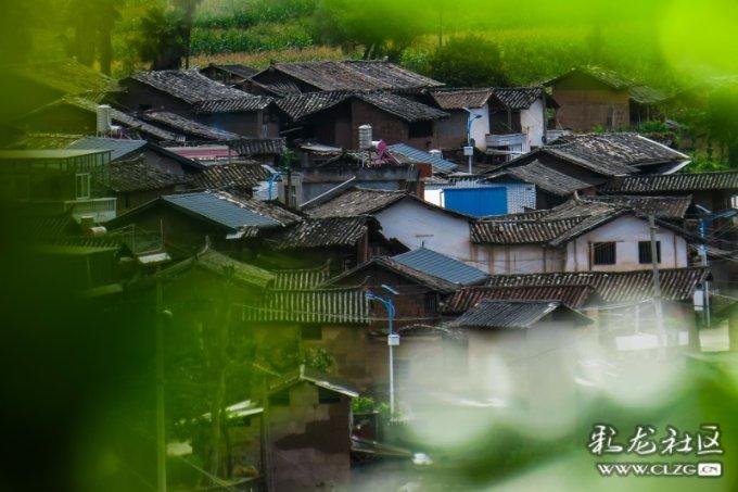 夏季带娃出行，有哪些必备品让带娃省心又省钱？游戏画面