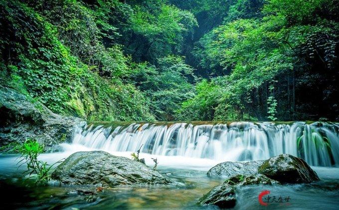 女子花三千住民宿给中评,遭电话轰炸,店家所谓的不卑躬屈膝是不是过头了?-专业有问必答平台