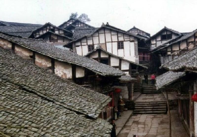 逃离小人国森林