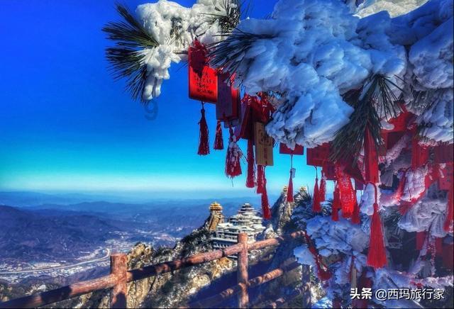 数码宝贝究极对决