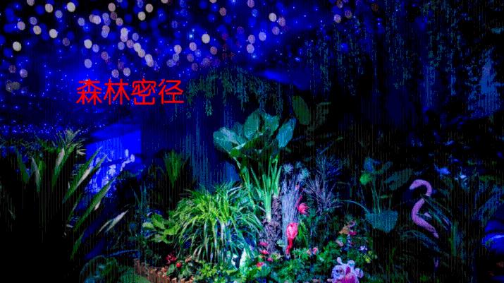 在家怎么做腌萝卜?-红迪网平台,探索有趣的话题和内容